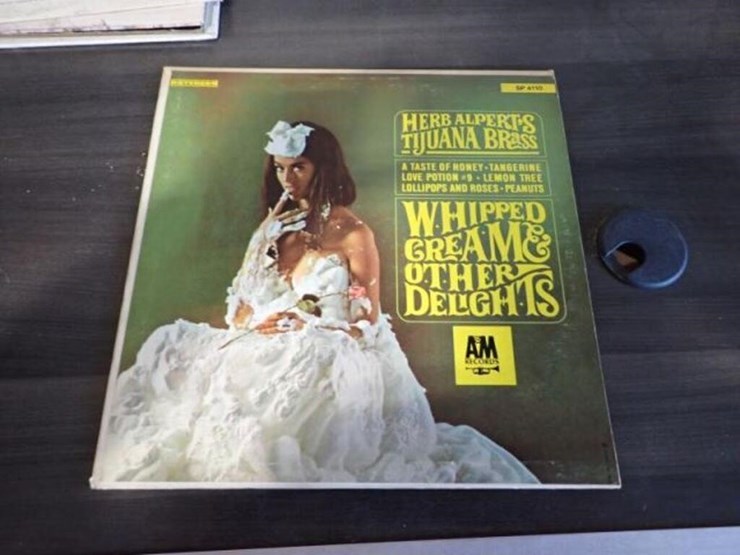 qty-of-(14)-vinyl-records-image-11