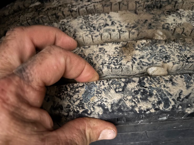 #1516-•-trailstar-image-4