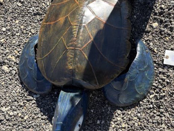 #76-•-metal-art--large-turtle-image-1