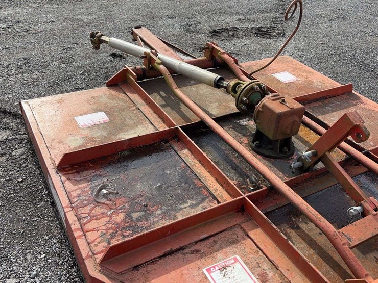 international-7-image-8