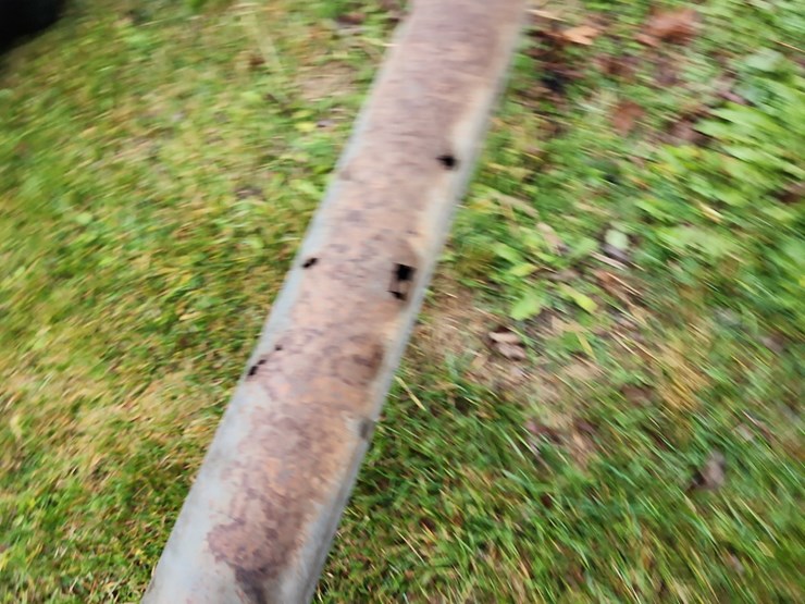 cardinal-auger-image-2