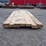 qty-of-(23)-1-in.-x-6-in.-x-12-14-ft-pine-lumber-a-image-6