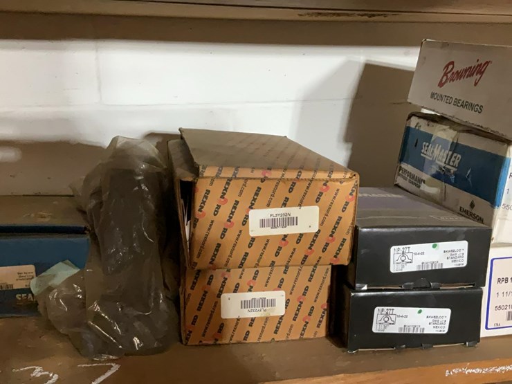 #537-•-new-bearings-image-3