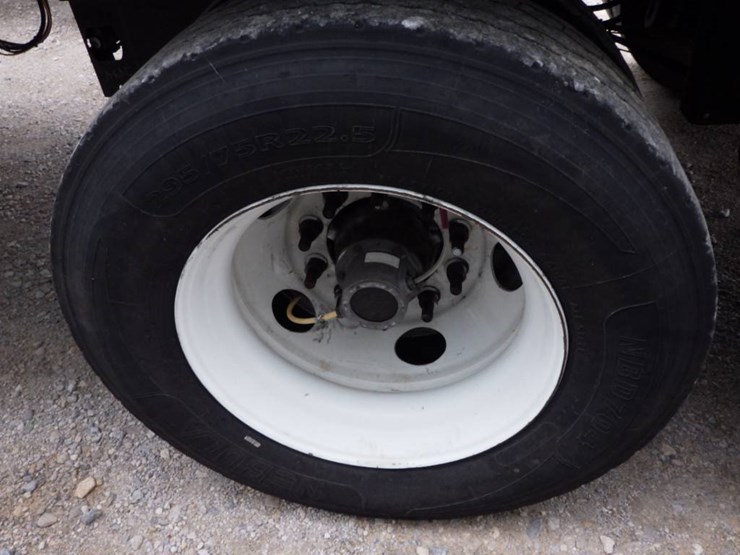 great-dane-champion-se-image-24