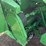 john-deere-945-image-25