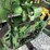 1966-john-deere-4020-image-16