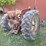 allis-chalmers-d19---mechanics-special-image-5