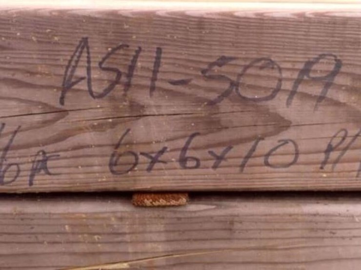 qty-of-(16)-6-in.-x-6-in.-x-10-ft-pressure-treated-image-2