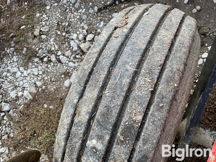 international-496-image-12