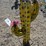 #69-•-metal-art--large-standing-yellow-cactus-w/-flower-image-2