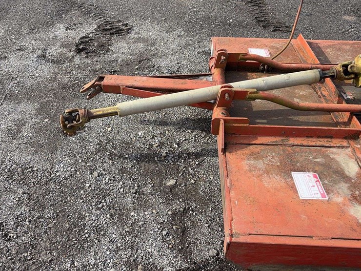 international-7-image-9