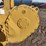 deere-550g-image-42