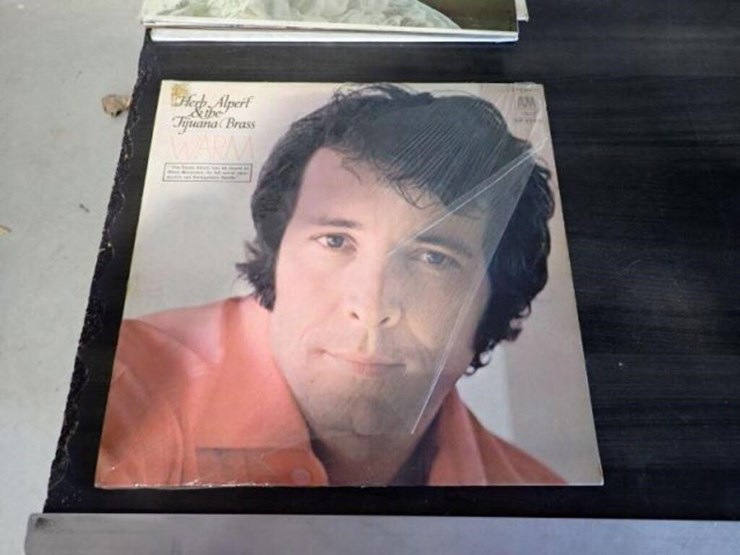 qty-of-(14)-vinyl-records-image-10