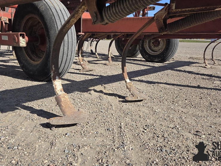 international-45-image-12