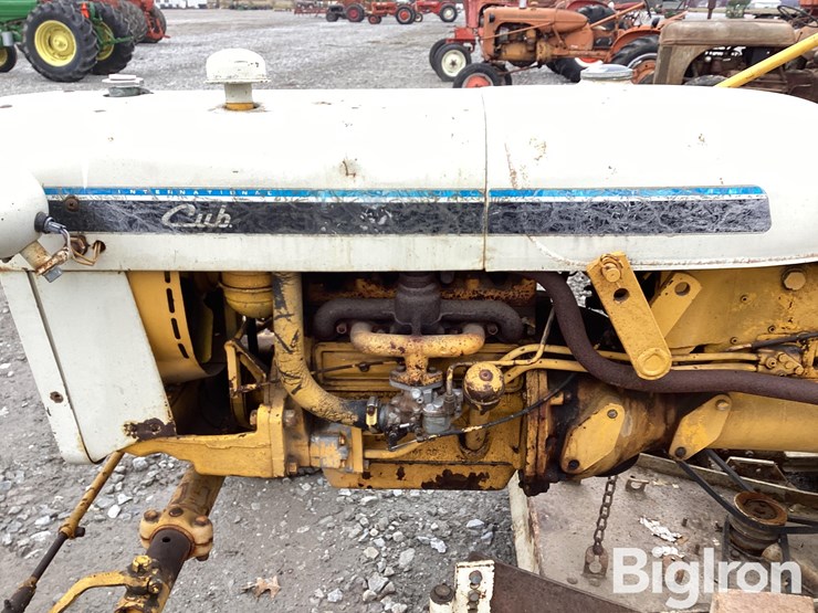 international-cub-image-13