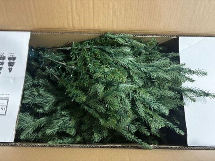 12-ft-grand-duchess-twinkling-balsam-fir-led-image-5
