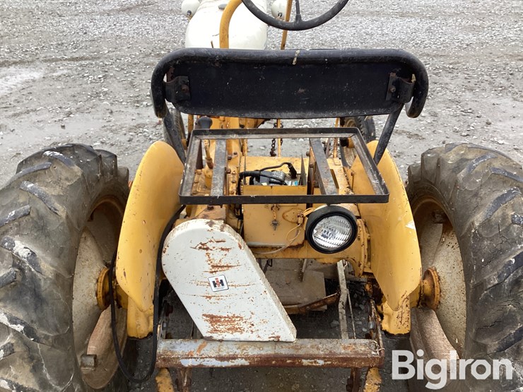 international-cub-image-18