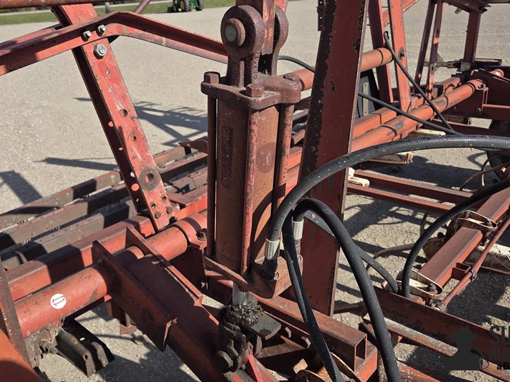 international-45-image-17