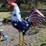 #97-•-metal-art--large-patriotic-rooster-image-1