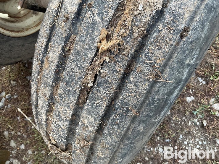 international-496-image-11