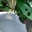 john-deere-1770-ccs-image-49
