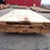 qty-of-(50)-1-in.-x-10-in.-x-10-ft-pine-lumber-image-5