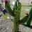#77-•-metal-art--medium-cactus-image-1