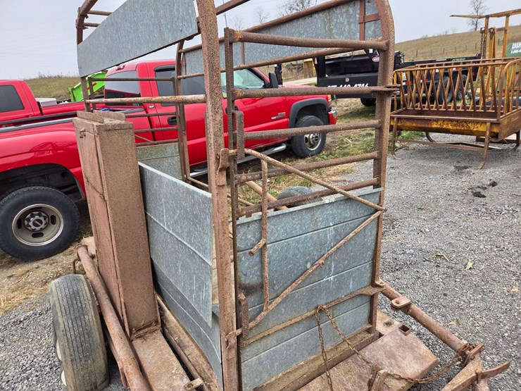 livestock-scales-image-3