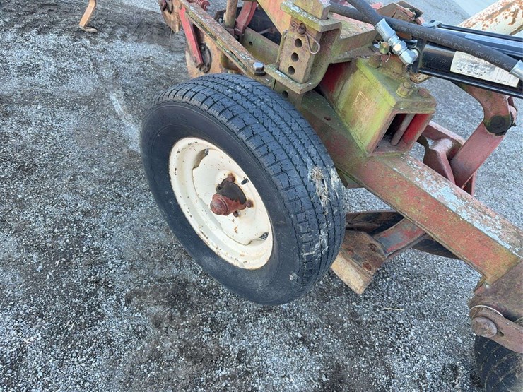 international-3-image-6