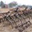 26'-s-tine-cultivators-with-rolling-harrow-image-4