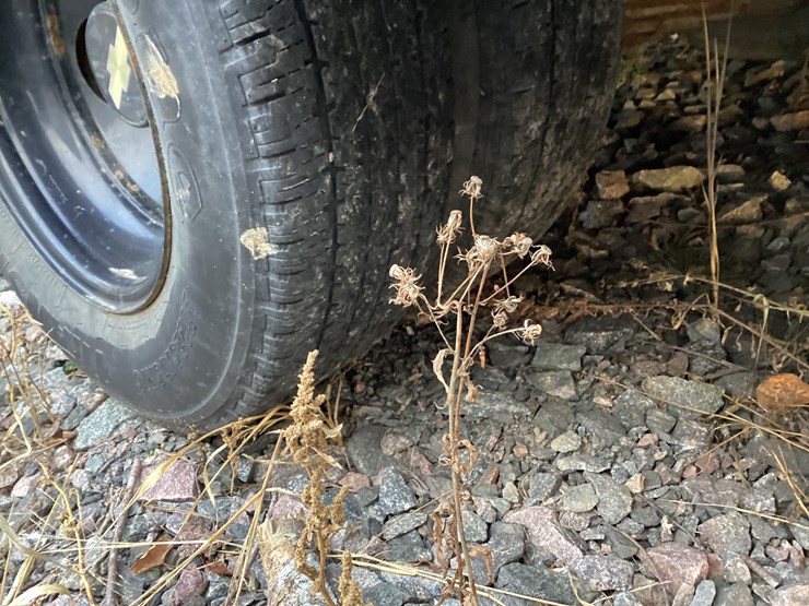 #4676-•-chevrolet-bus-image-7