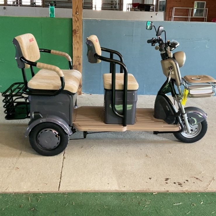 2025 Irgc40 Mini Golf Cart (new)