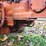 allis-chalmers-d19---mechanics-special-image-33
