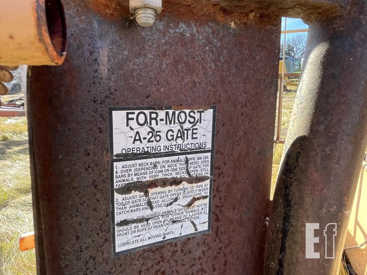 for-most-125-image-7