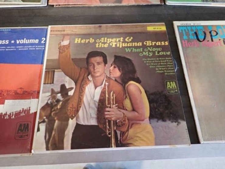 qty-of-(14)-vinyl-records-image-3