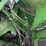 john-deere-9570-sts-image-35