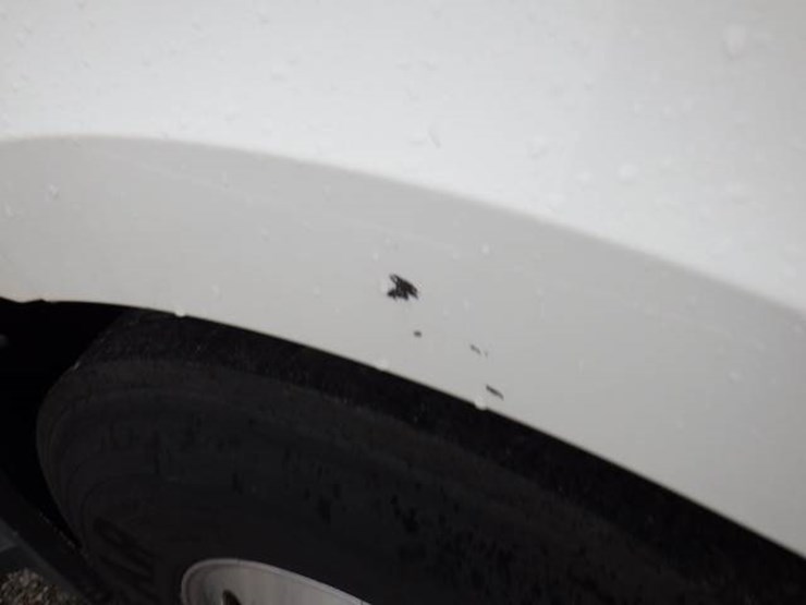 2019-freightliner-cascadia-126-image-5