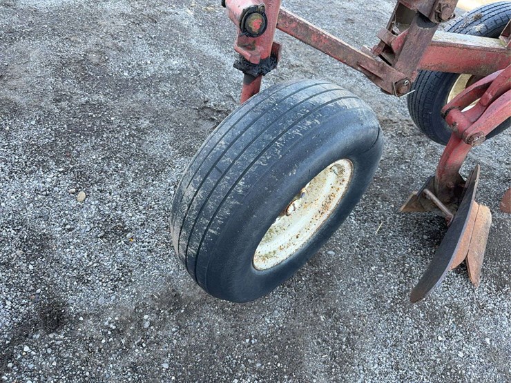 international-3-image-5