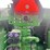 john-deere-9620rx-image-29