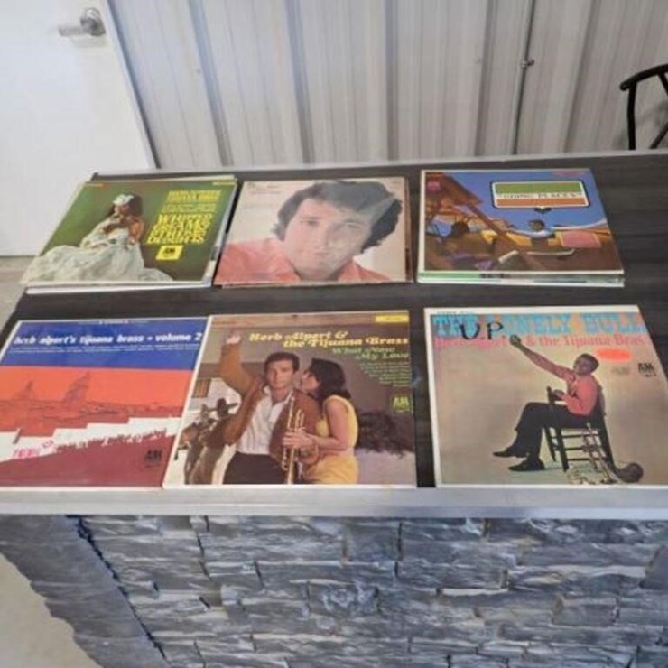 Qty Of (14) Vinyl Records