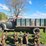 1953-gmc-354-24-round-top-cab-single-axle-grain-truck--needs-axle-shaft-image-2
