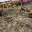 taylor-way-chisel-plow-image-9