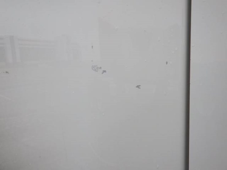 2019-freightliner-cascadia-126-image-6