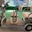 2025-irgc40-mini-golf-cart-(new)-image-3