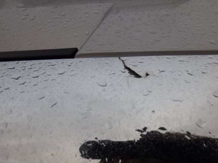 2019-freightliner-cascadia-125-image-6