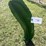 #75-•-metal-art--tall-oblong-slender-crooked-cactus-image-1