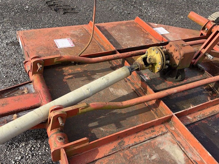 international-7-image-10