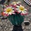 #78-•-metal-art--short-cactus-w/-flowers-image-1