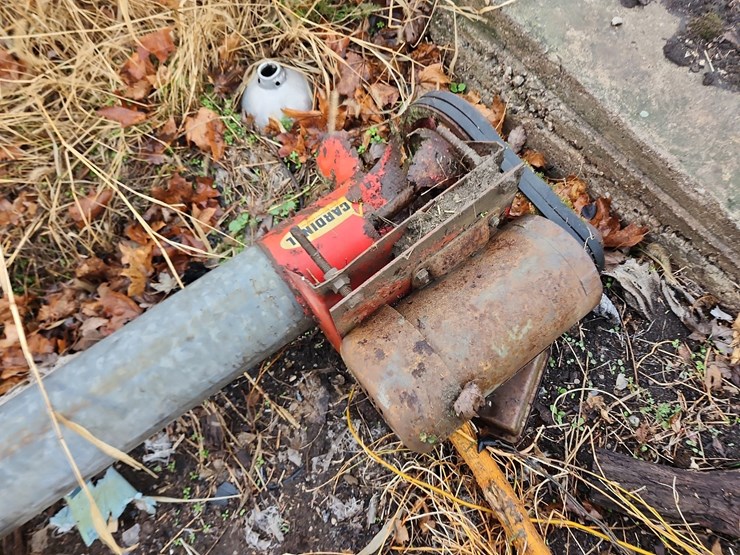 cardinal-auger-image-4