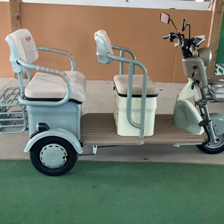 2025 Irgc40 Mini Golf Cart (new)
